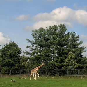 Meet your Posher, Natalia